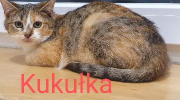 Kukułka
