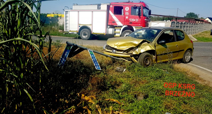 Nastoletnią dziewczynkę, która ucierpiała w wypadku w Serocku zabrało do szpitala Lotnicze Pogotowie Ratunkowe/fot. OSP Brzeźno