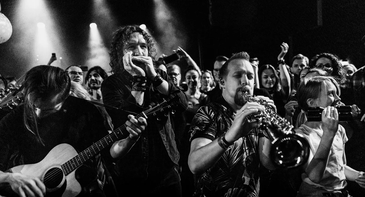 Festiwale, edycja Blues Świecie Festival Sylwetki artystów - zdjęcie, fotografia