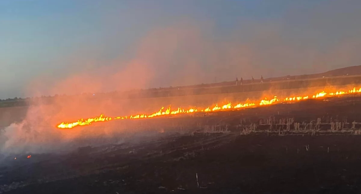Pożar, Akcja straży pożarnej Paliło rżysko - zdjęcie, fotografia
