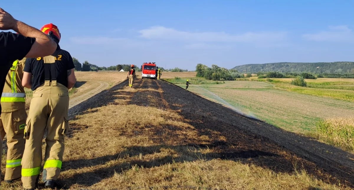 Pożar, Grasuje seryjny podpalacz zdają apele - zdjęcie, fotografia