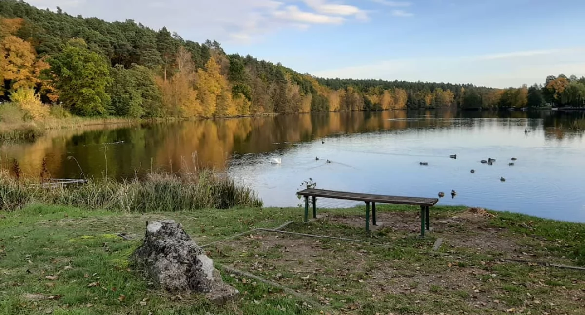 Imprezy, Kociewskie zakończenie Wydarzenie odbędzie Tleniu [ZAPOWIEDŹ] - zdjęcie, fotografia
