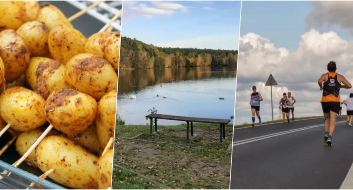 Imprezy, Ostatni weekend Program wydarzeń powiecie świeckim [LISTA] - zdjęcie, fotografia