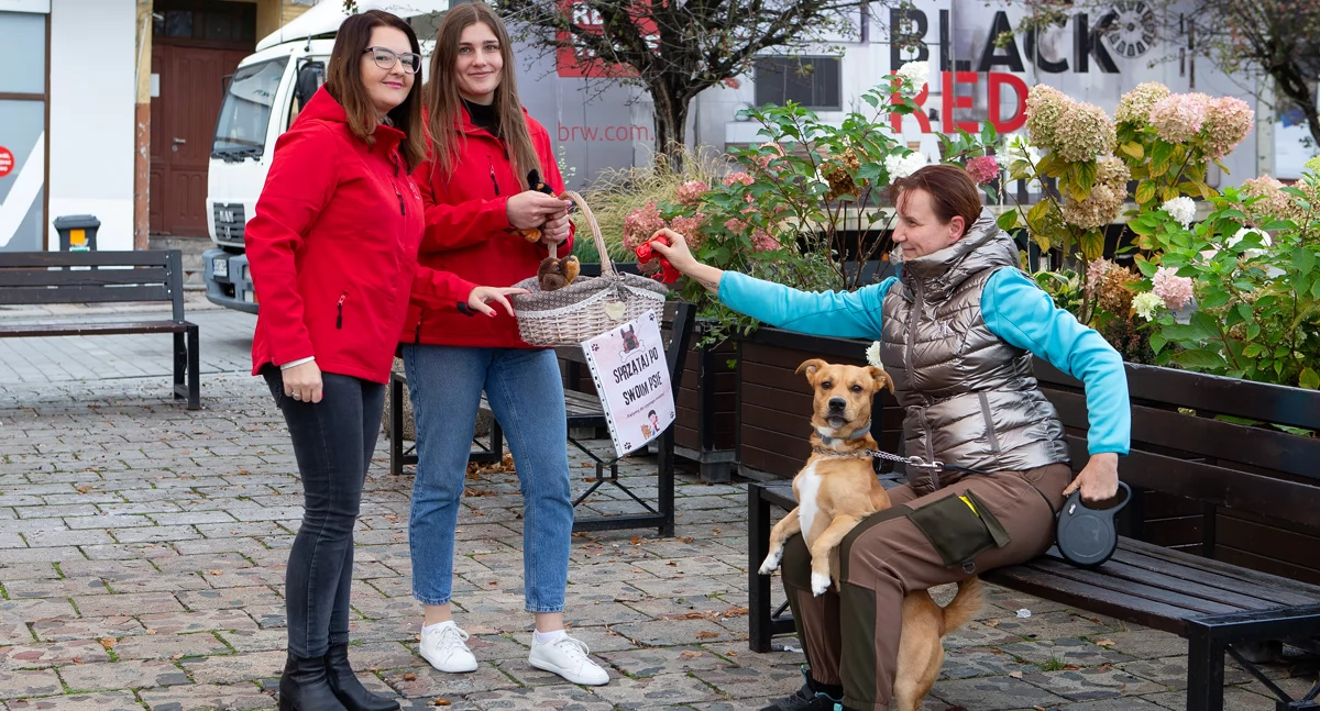 Samorząd, Światowy Dzień Zwierząt Mieszkańcy otrzymywali pracowników urzędu - zdjęcie, fotografia