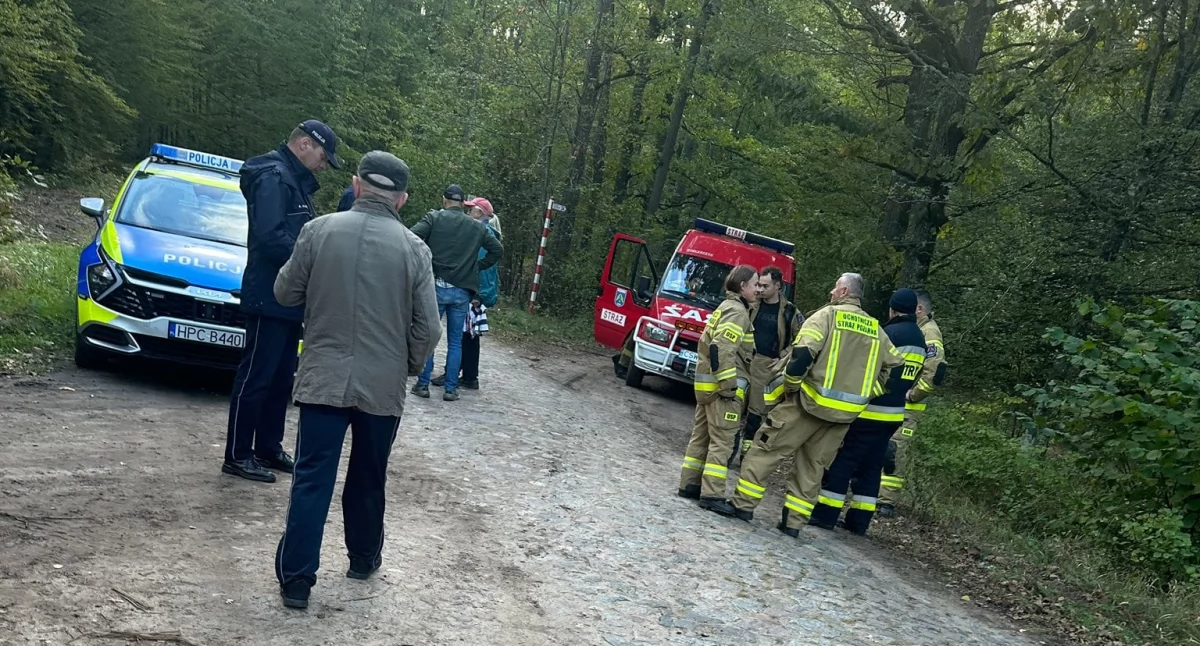 Poszukiwani, Kobieta zgubiła podczas grzybobrania Szukali strażacy policja - zdjęcie, fotografia