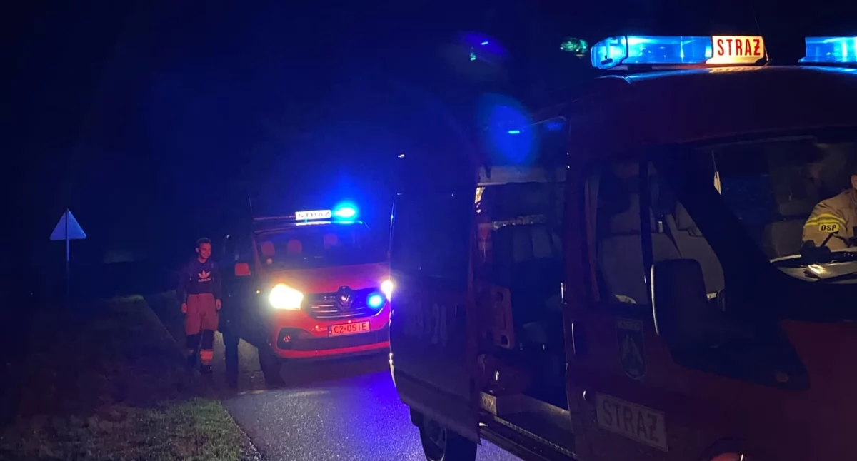 Poszukiwani, Kobieta wyszła grzyby potrafiła samodzielnie wrócić - zdjęcie, fotografia