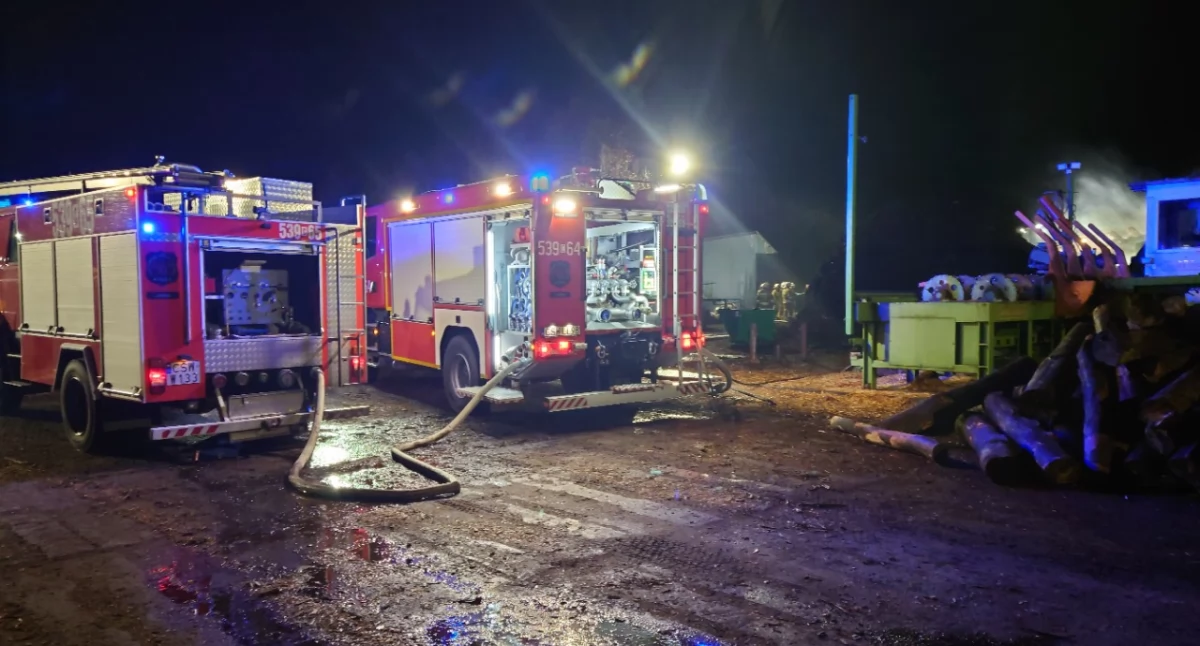 Pożar, Pożar zakładzie drzewnym Zapaliły trociny - zdjęcie, fotografia