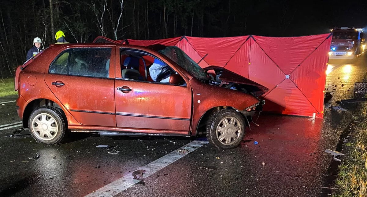 Wypadek drogowy, Wypadek Jedna osoba żyje - zdjęcie, fotografia