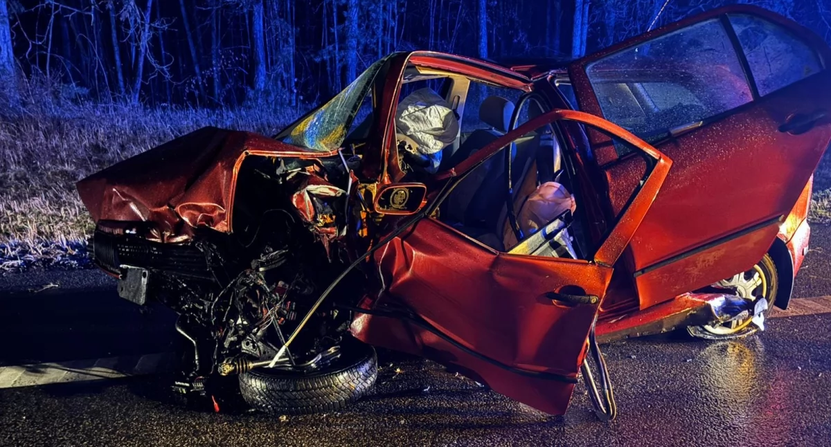 Wypadek drogowy, Tragiczny wypadek Policja podaje wstępne przyczyny [ZDJĘCIA] - zdjęcie, fotografia