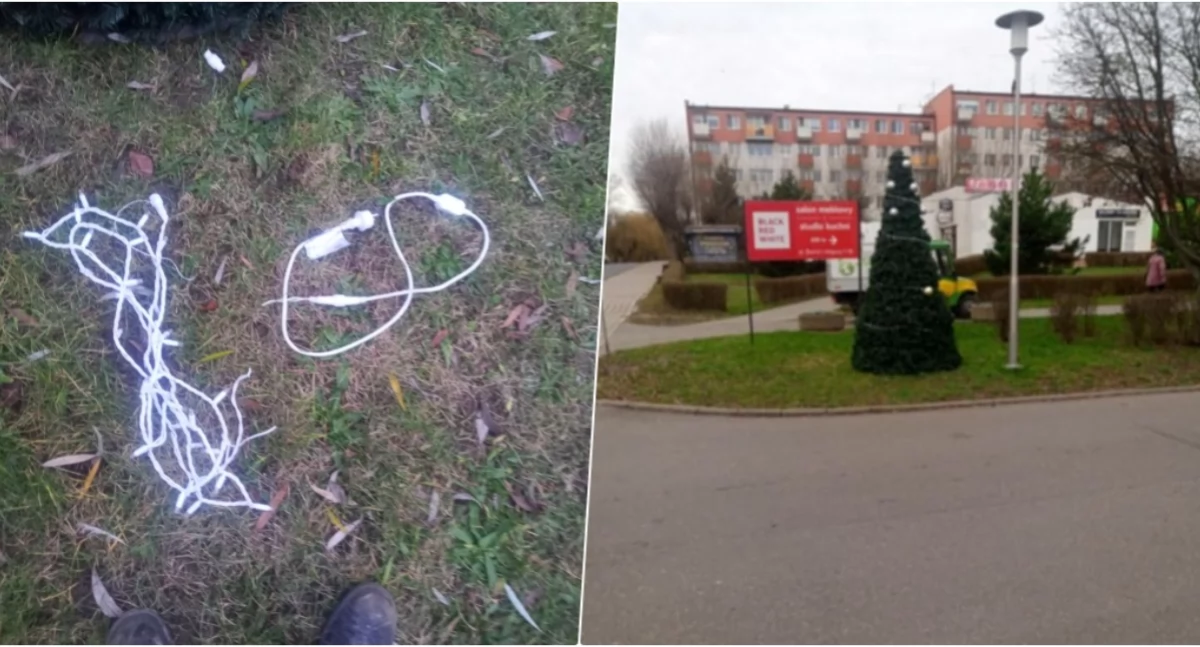 Poszukiwani, Świąteczne ozdoby zniszczone dochodzenie - zdjęcie, fotografia