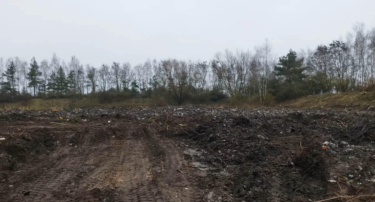Środowisko, Rekultywacja terenu składowiska odpadów Zalesiu Królewskim Będzie trawa - zdjęcie, fotografia