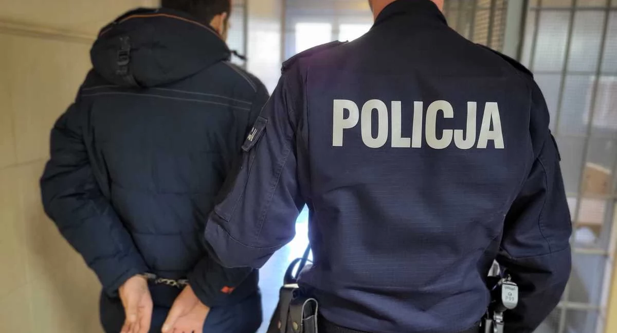 Akcja policji, Ogólnopolska akcja policji ramach działań zatrzymano tylko obywateli Polski - zdjęcie, fotografia