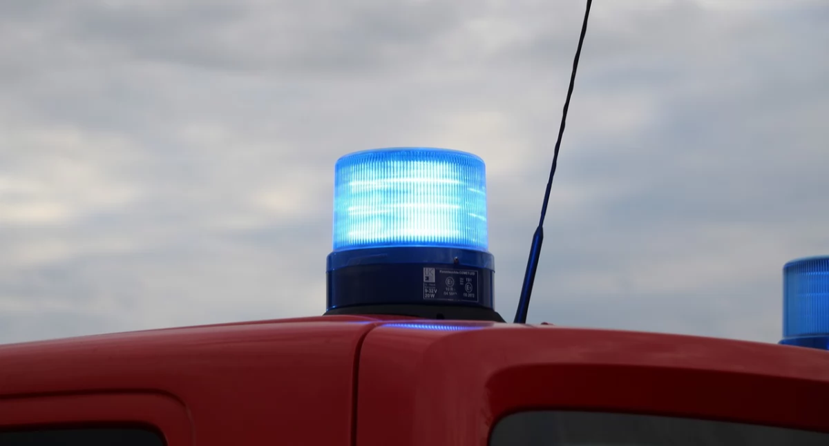 Wypadek drogowy, Groźnie zderzyło łosiem - zdjęcie, fotografia