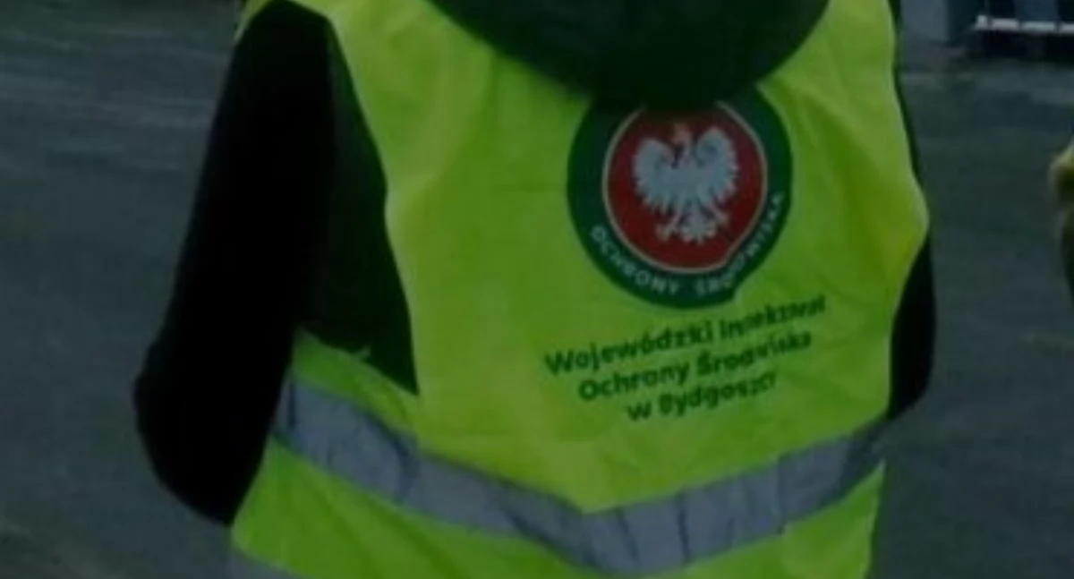 Środowisko, Śnięte Wiśle ustaliły służby - zdjęcie, fotografia