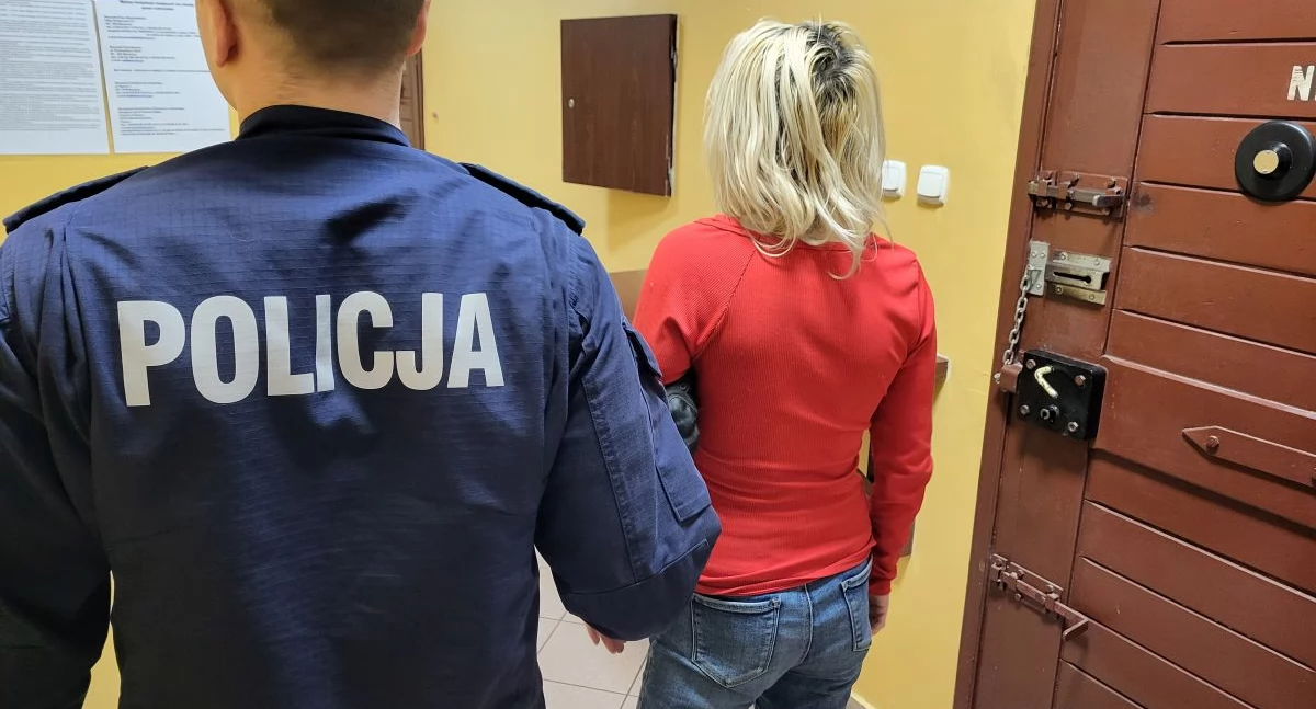Kronika kryminalna , Bulwersujące sceny Grudziądzu Kobieta usłyszała zarzuty - zdjęcie, fotografia