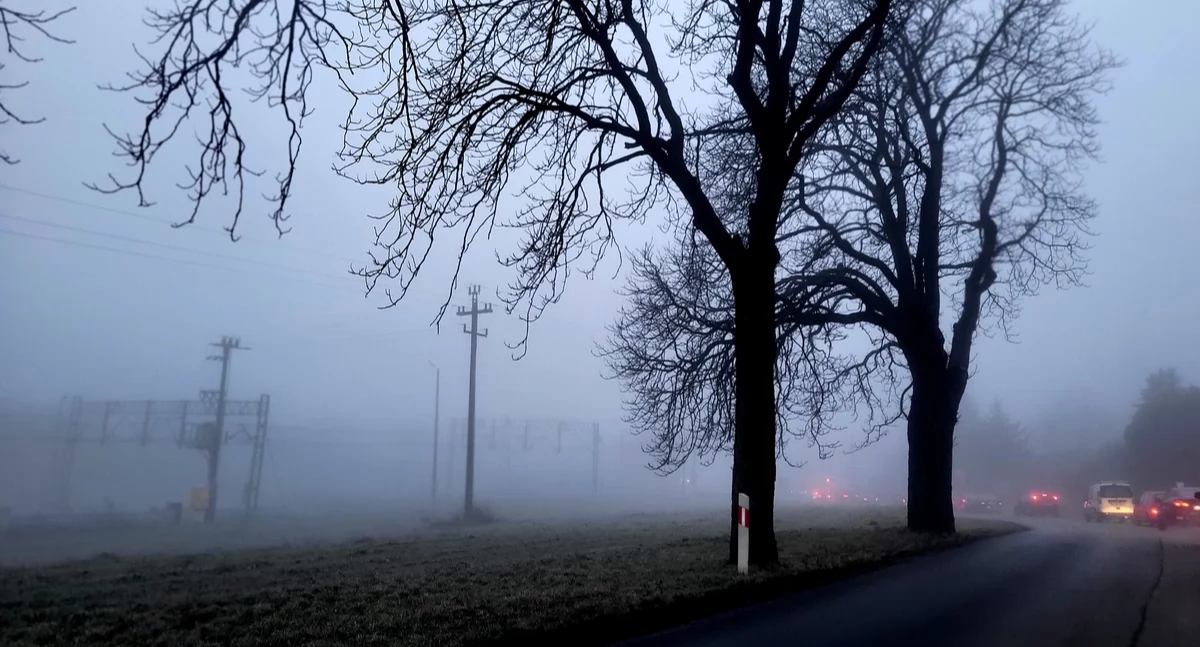 Akcja policji, Mgły mogą niebezpieczne policjantów Świecia - zdjęcie, fotografia