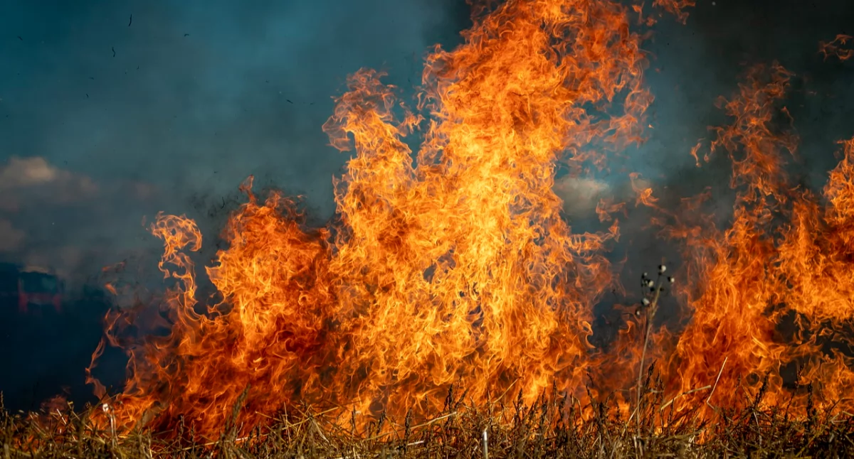 Pożar, Płoną trawy powiecie świeckim służb - zdjęcie, fotografia
