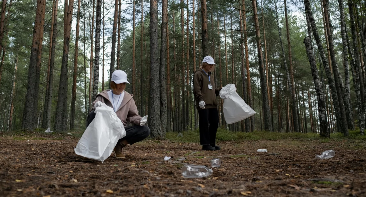 Środowisko, Akcja społecznego zbierania śmieci terenów leśnych Potrzebne ręce pracy - zdjęcie, fotografia