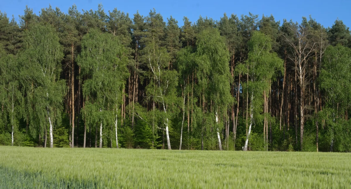 Środowisko, Tutaj obowiązuje zakaz wstępu Trwają opryski! - zdjęcie, fotografia
