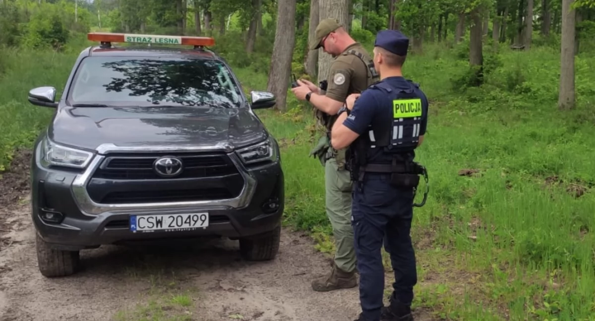 Akcja policji, Wspólne patrole policji straży leśnej sprawdzają mundurowi - zdjęcie, fotografia