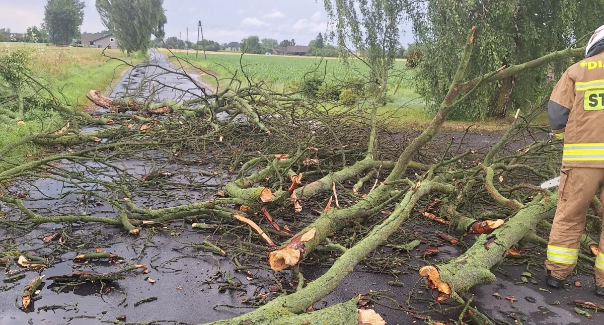 Akcja straży, Nawałnica powiecie świeckim Strażacy podali - zdjęcie, fotografia