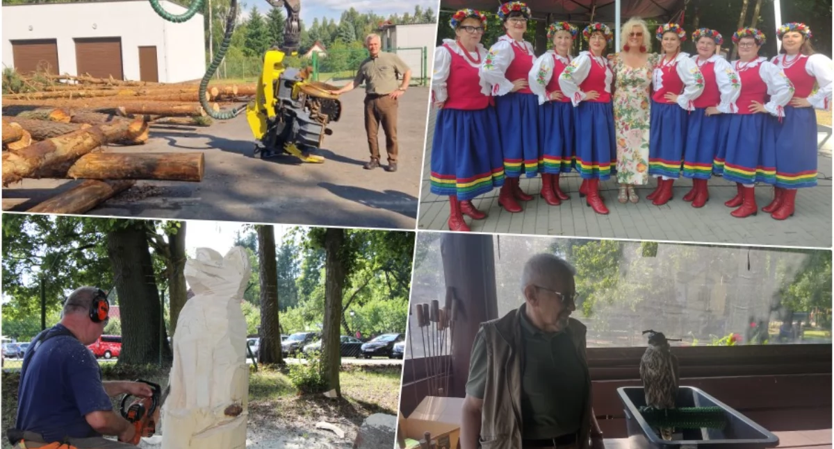 Środowisko, Leśnicy pokazali wygląda praca Przygotowano szereg atrakcji - zdjęcie, fotografia