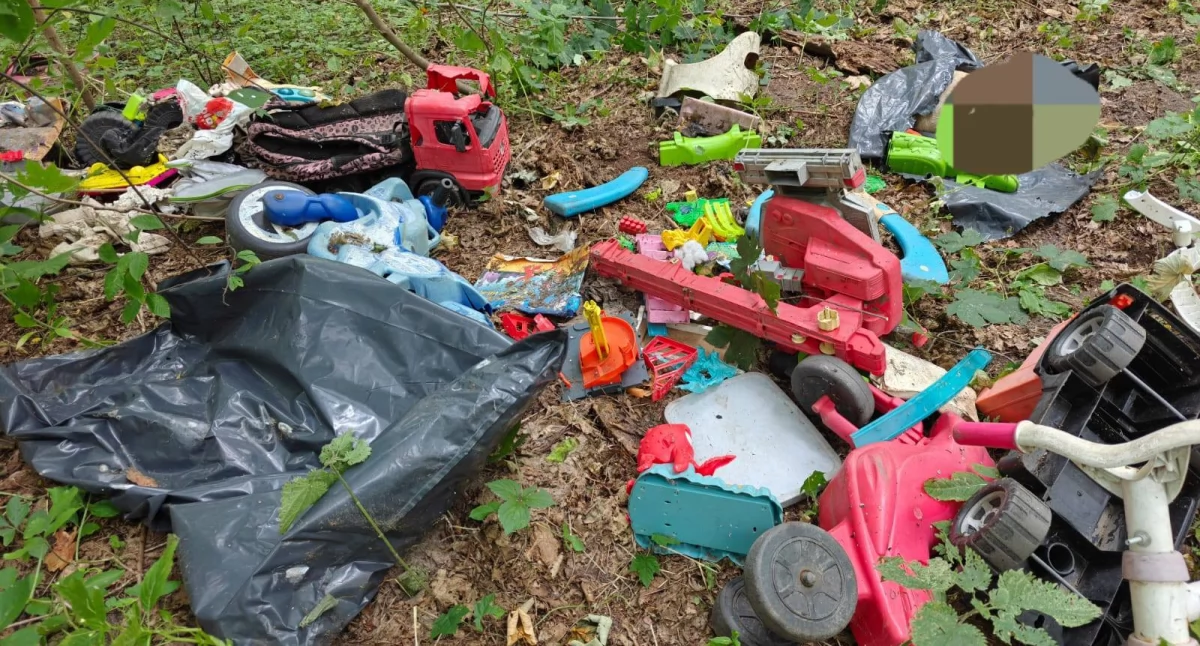 Kronika kryminalna , Koszmarne znalezisko lesie Sprawę policja - zdjęcie, fotografia
