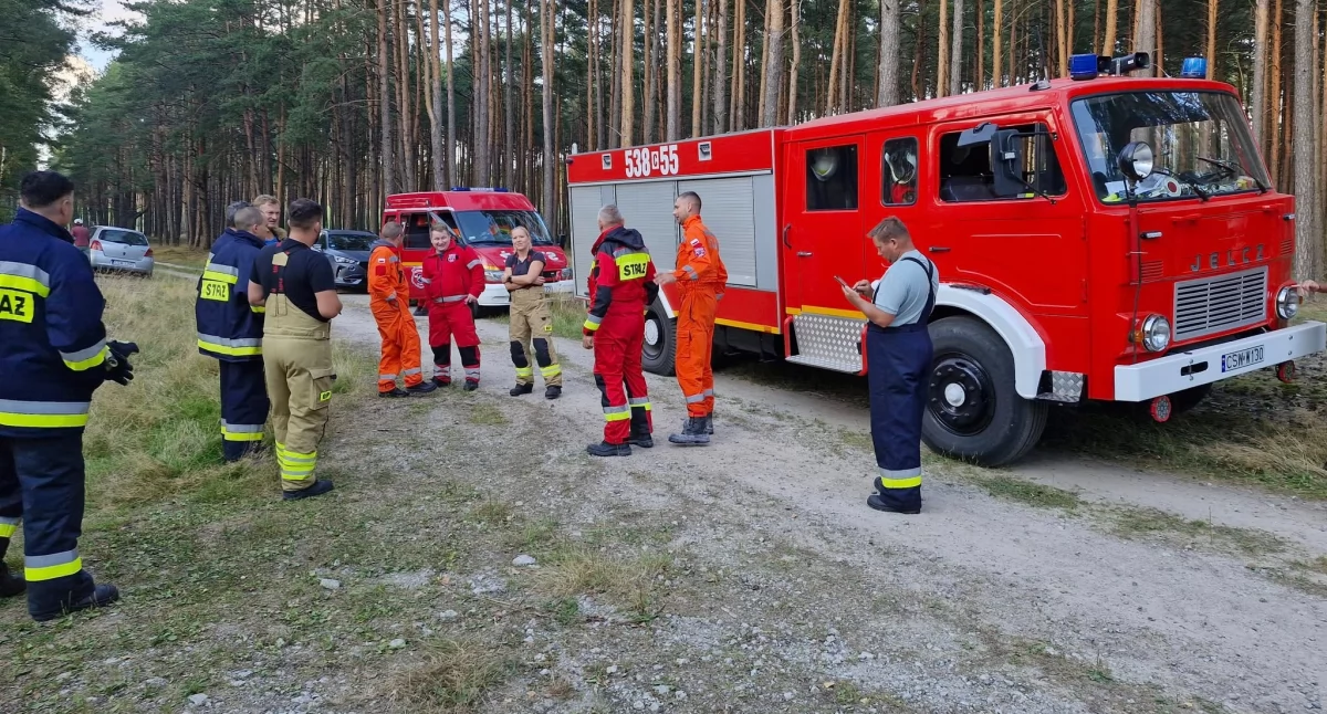 Poszukiwani, Poszukiwania terenie powiatu świeckiego Zgubił grzybiarz - zdjęcie, fotografia