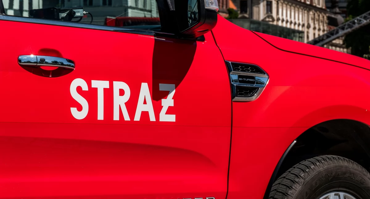 Poszukiwani, Szukało kilkadziesiąt osób Został odnaleziony Świekatowie - zdjęcie, fotografia