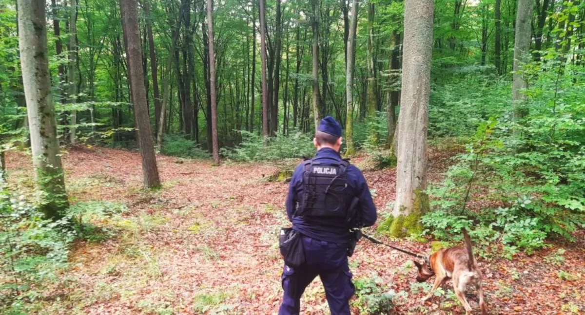Akcja policji, sezon grzyby policjantów - zdjęcie, fotografia
