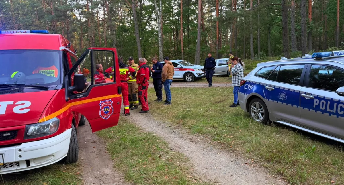 Poszukiwani, Służby postawione Szukano latka - zdjęcie, fotografia