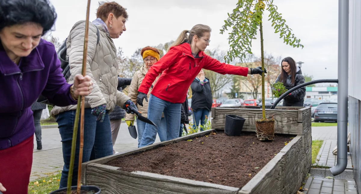 Środowisko, Świeciu powstał ogród deszczowy Będą piękne kompozycje [ZDJĘCIA] - zdjęcie, fotografia
