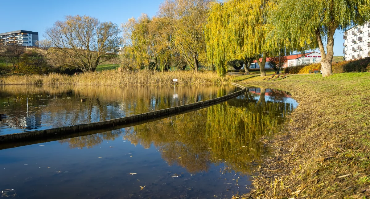 Środowisko, Zrobili porządek Dużym Blankuszu Potrzebę zgłaszali mieszkańcy - zdjęcie, fotografia