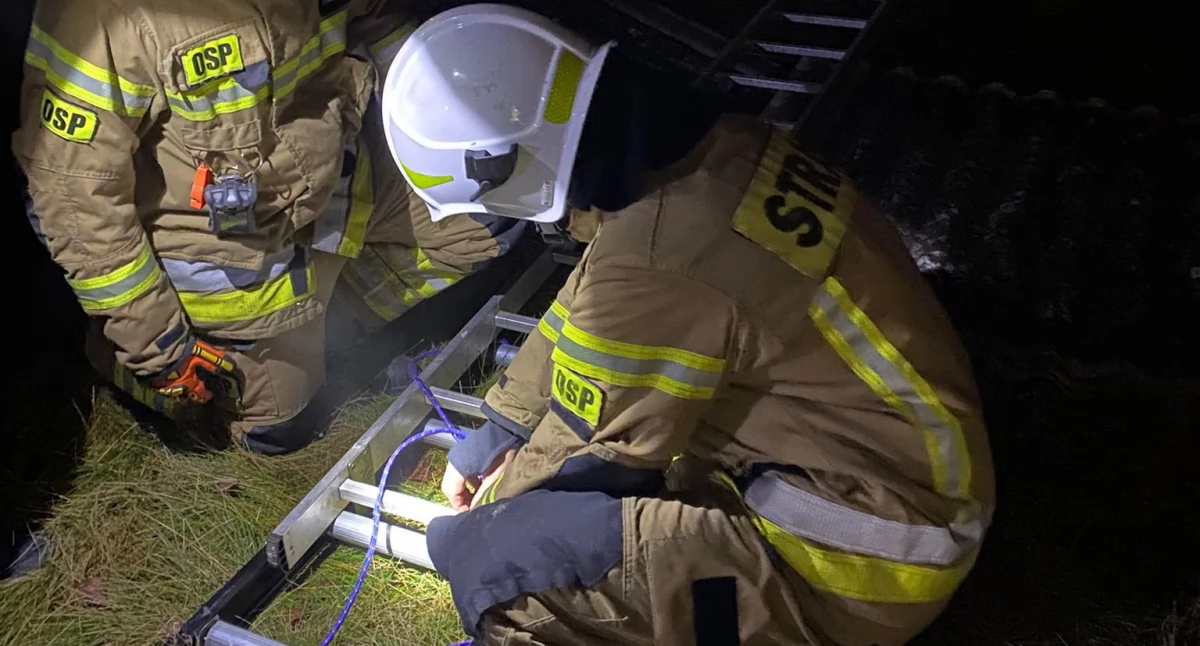 Akcja straży, Strażacy uratowali Znajdował głębokiej studni - zdjęcie, fotografia