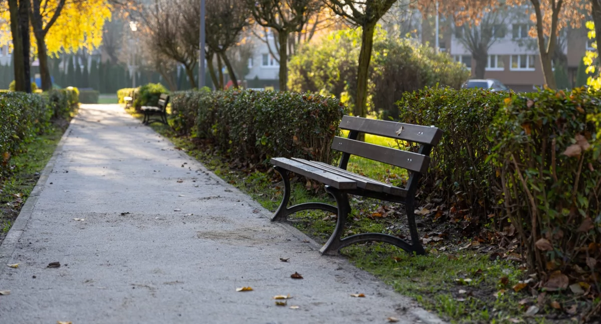 Inwestycje, Ścieżki parku nowej odsłonie Zakończono prace Żwirki Wigury - zdjęcie, fotografia