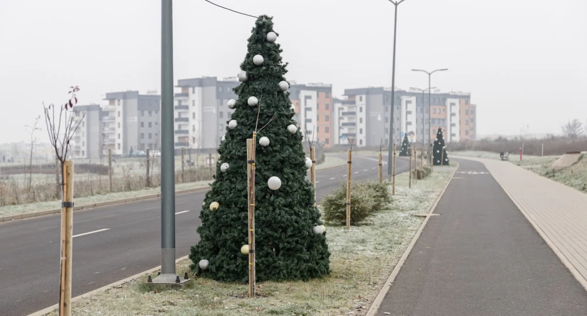 Uroczystości, święta i obchody, Świeciu widać pierwsze oznaki świąt podoba - zdjęcie, fotografia