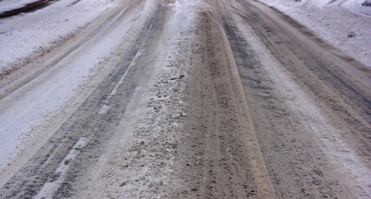 Komunikaty, Kolejne ostrzeżenie meteorologiczne powiatu świeckiego razem chodzi śnieg - zdjęcie, fotografia