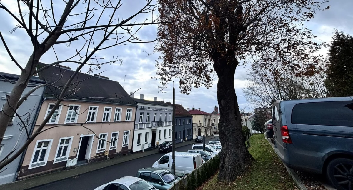 Komunikaty, Drzewo urzędzie stanowi zagrożenie Zostanie wycięte - zdjęcie, fotografia