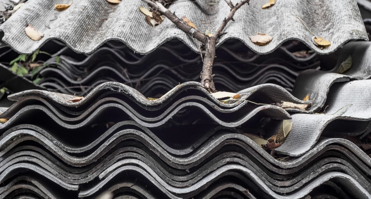 Środowisko, Posiadasz wyroby zawierające azbest Ważne informacje Urzędu Miejskiego Świeciu - zdjęcie, fotografia