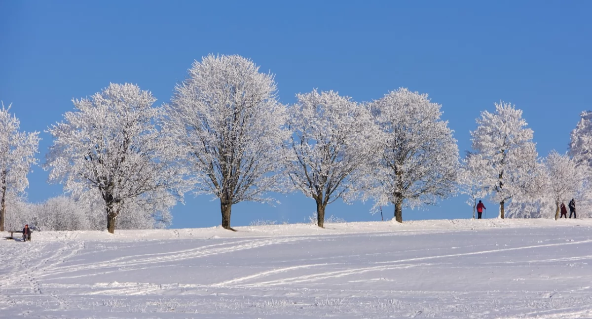 Komunikaty, Silny mróz powiecie świeckim Wydano ostrzeżenie meteorologiczne - zdjęcie, fotografia