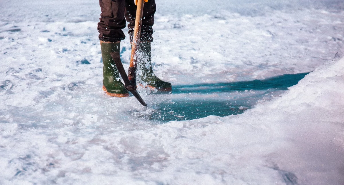 Pozostałe sporty, Topolnie przeprowadzone zostaną zawody cięciu Liczyć będzie precyzja współpraca - zdjęcie, fotografia