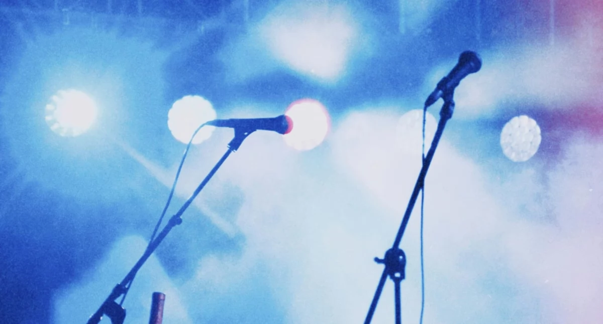 Koncert, Koncert okazji Babci Dziadka Pruszczu Zaprezentują utalentowani wokaliści Regionalnej Akademii Piosenki - zdjęcie, fotografia