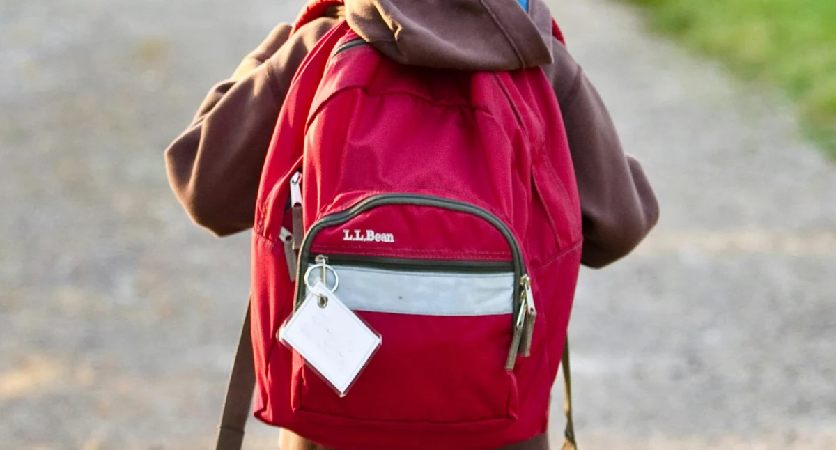 Interwencja, przejść pieszych Świeciu będą zmiany - zdjęcie, fotografia