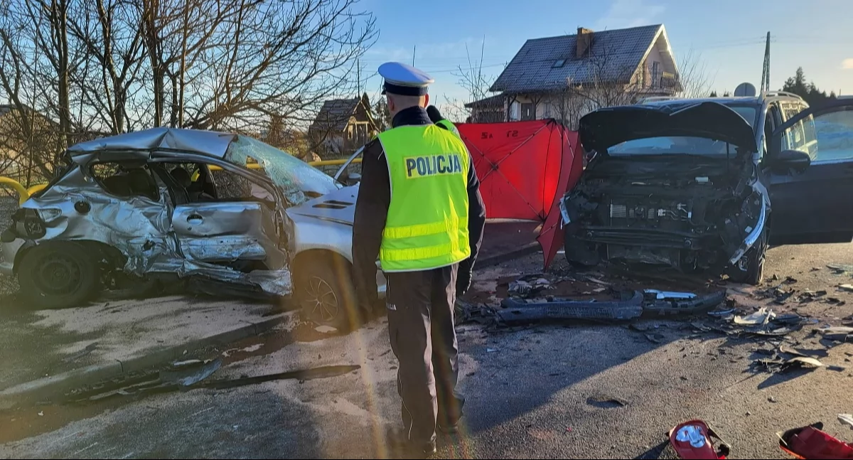 Akcja policji, drogach województwa Policjanci opublikowali - zdjęcie, fotografia