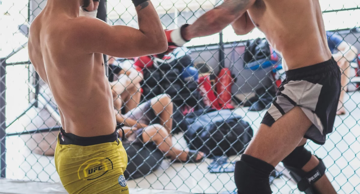 Boks, Charytatywna Sportów Walki będzie bitwa Świecie - zdjęcie, fotografia