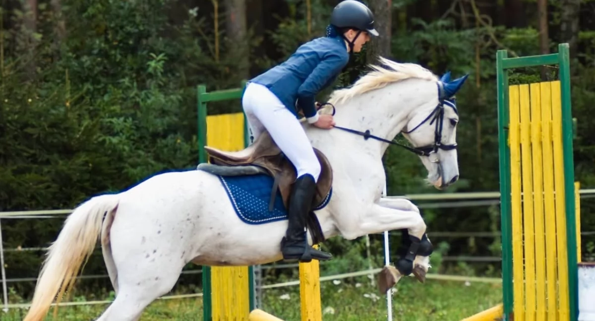 Pozostałe sporty, Dotacje sport gminie Jeżewo przyznane otrzymał - zdjęcie, fotografia