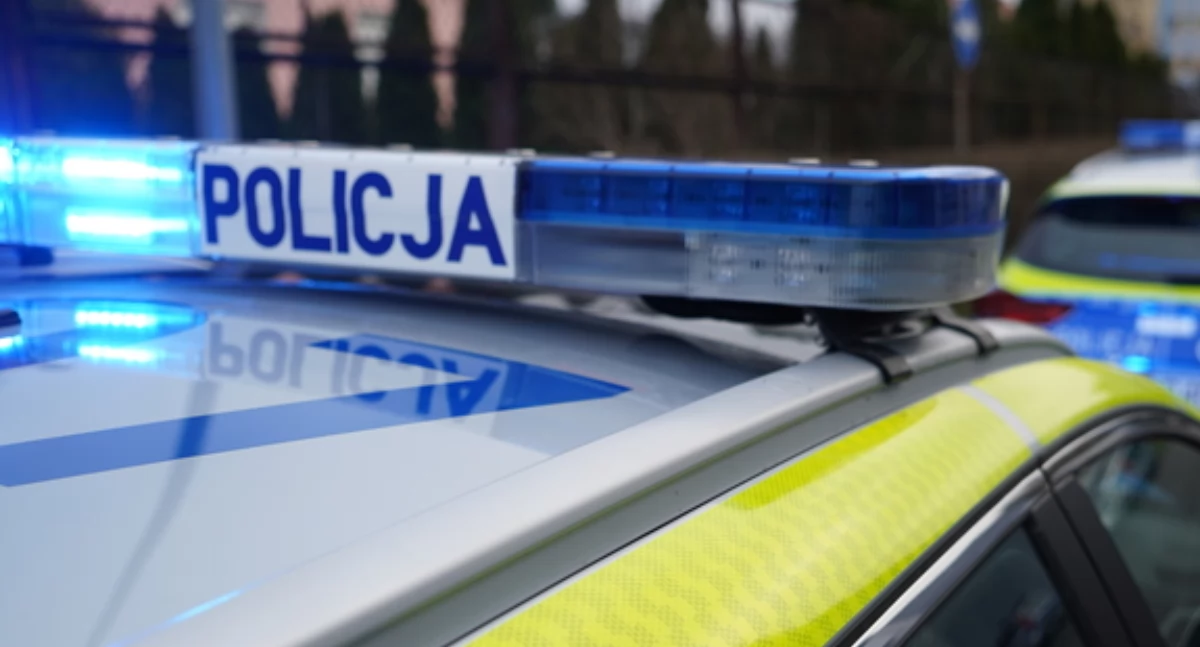 Akcja policji, Szedł drogą Grudziądza Świecia Dostał mandat ostrą reprymendę - zdjęcie, fotografia