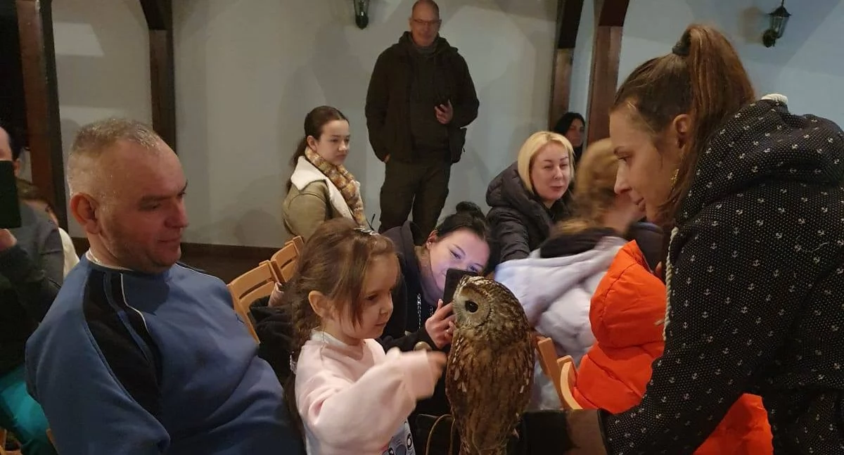 Środowisko, było piękne święto wiedzy wspaniałych ptakach - zdjęcie, fotografia