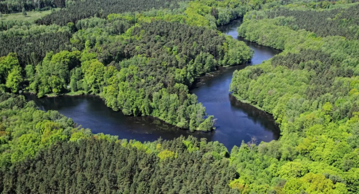 Na fotografii Wdecki Park Krajobrazowy fot. Daniel Pach dla UMWKP