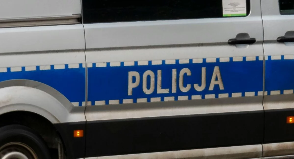 Narkotyki, Francuz narkotykami zatrzymany powiecie świeckim Wpadł restauracji - zdjęcie, fotografia